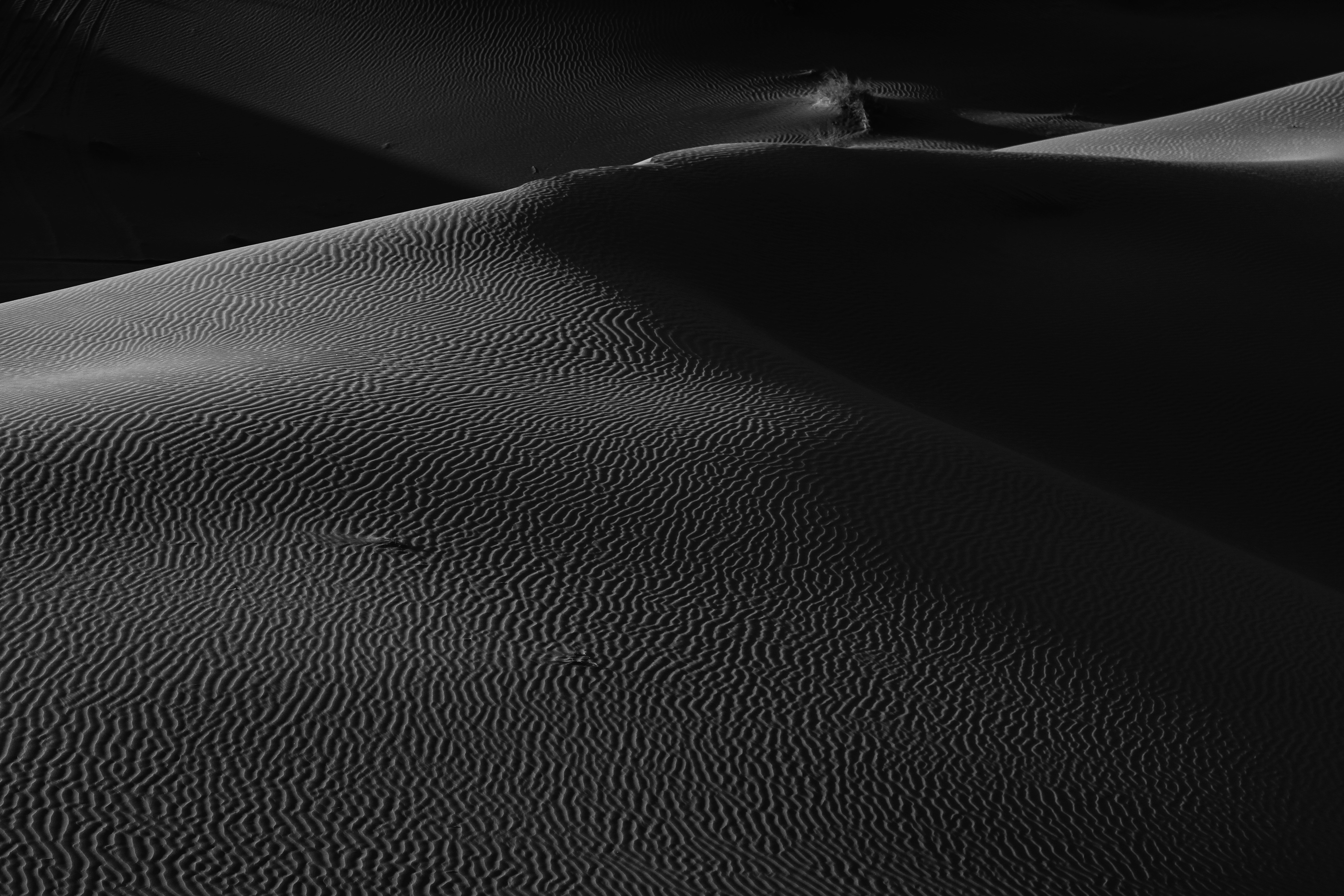 Desert Background